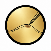 Areola Reconstruction course icon