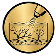 Laser Vein Removal course icon