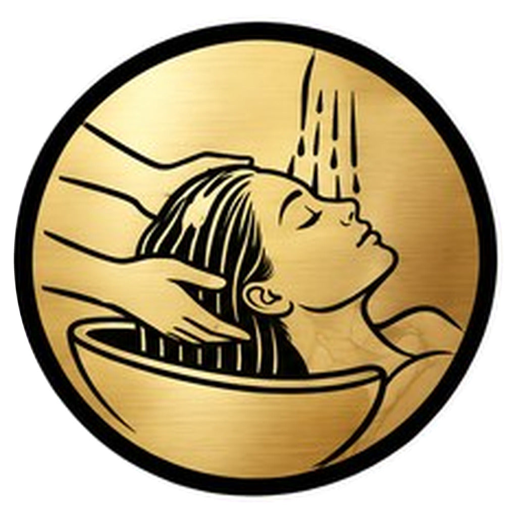 Certified Head Spa Practitioner Program course icon