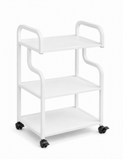 Mobile Salon Equipment and Storage Trolley