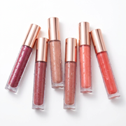 Waterproof Lip Gloss Set