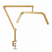 Adjustable Gold Sleek Beauty LED Lamp
