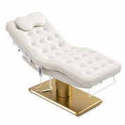 3-Motor Luxury Electric Beauty Bed
