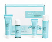 Tea Tree & Salicylic Acid Skincare Set